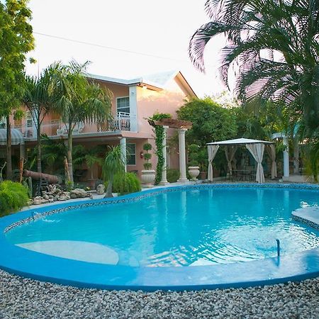 Palm Inn Hotel Port-au-Prince Pokój zdjęcie