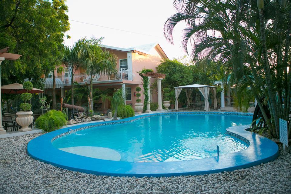 Palm Inn Hotel Port-au-Prince Pokój zdjęcie