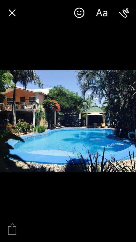 Palm Inn Hotel Port-au-Prince Zewnętrze zdjęcie